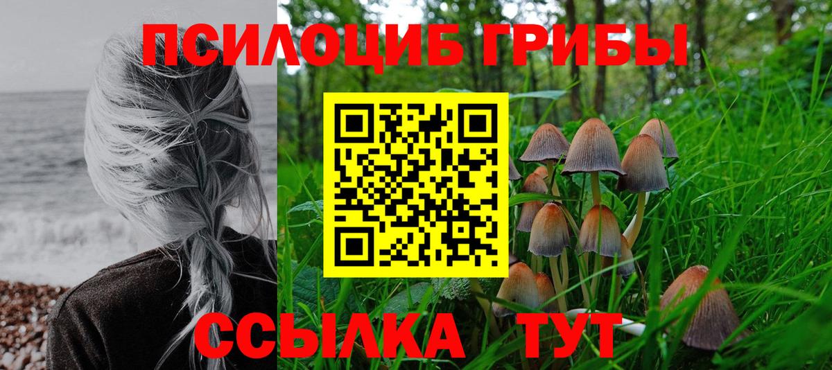 наркотики  Вход с VPN  Стрежевой  Псилоцибиновые грибы мухоморы 