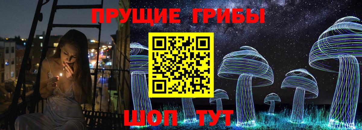 Псилоцибиновые грибы мицелий Стрежевой